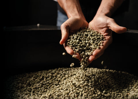 Lattina caffè macinato per moka "Sofia"